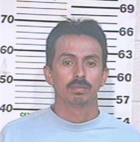 Coronado Arnoldo - Hidalgo County, TX 