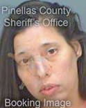 Lazarra Ashley - Pinellas County, FL 