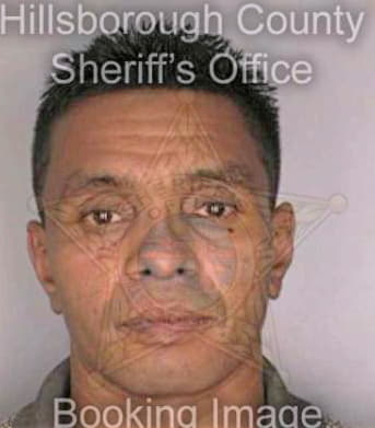 Martinez Edwin - Hillsborough County, FL 