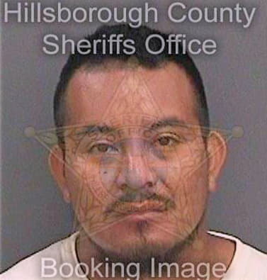 Jimenezlopez Gamaliel - Hillsborough County, FL 