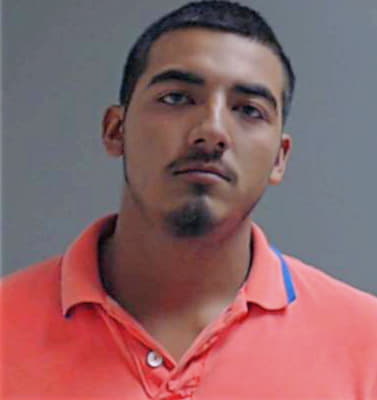 Alaniz Gerardo - Hidalgo County, TX 