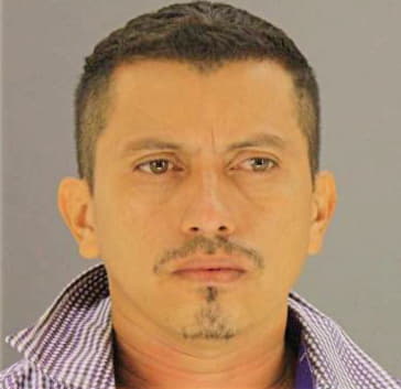 Guevaramolina Jose - Dallas County, TX 