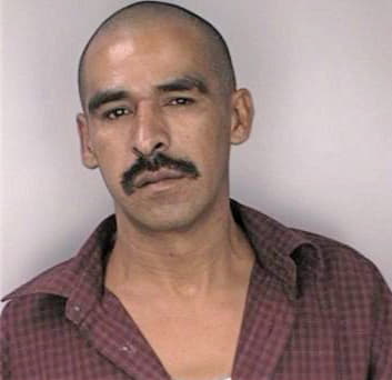 Martinezsilva Joaquin - Hillsborough County, FL 