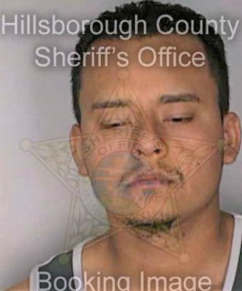 Castillo Julio - Hillsborough County, FL 