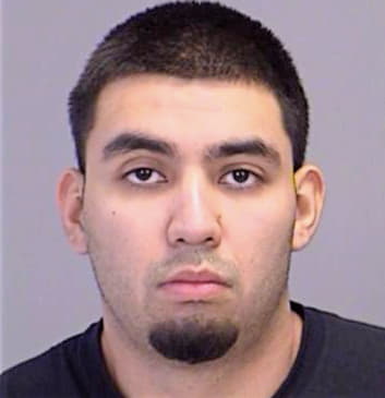 Anderson Luis - Brazos County, TX 