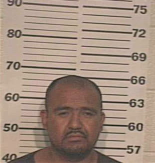 Gonzalez Sergio - Hidalgo County, TX 