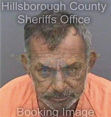 Iglesias Faustino - Hillsborough County, FL 