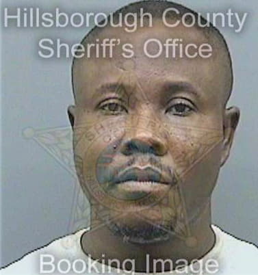 Romulus Marcelin - Hillsborough County, FL 