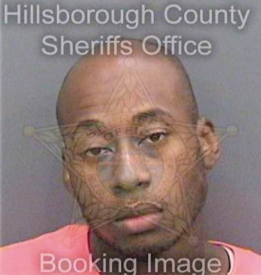Johnson Matthew - Hillsborough County, FL 