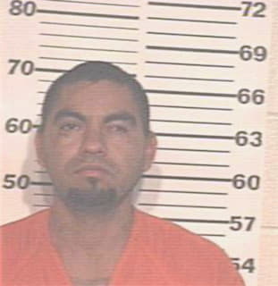 Torres Eduardo - Hidalgo County, TX 