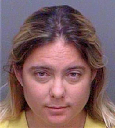 Shapiro Lindsay - Pinellas County, FL 