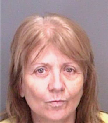 Evans Carol - Pinellas County, FL 