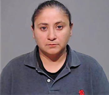 Hernandez Cynthia - Hidalgo County, TX 
