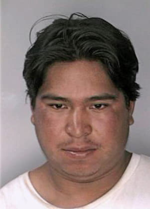 Martinez Hulber - Hillsborough County, FL 
