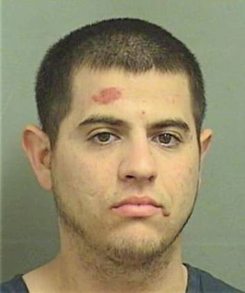 Litvin Lee - PalmBeach County, FL 