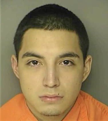 Ribera Luis - Horry County, SC 