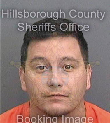 Collins Michael - Hillsborough County, FL 