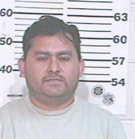 Hernandez Antonio - Hidalgo County, TX 
