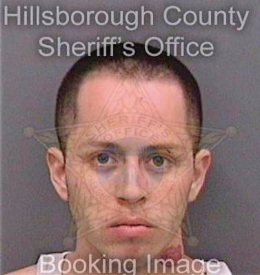 Davila Cordero - Hillsborough County, FL 