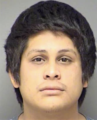 Gonzalez Gustavo - Denton County, TX 