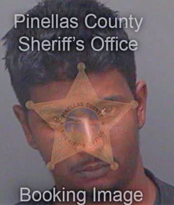 Poliah Michael - Pinellas County, FL 