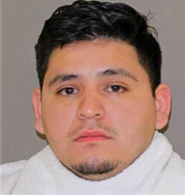 Sillero Michael - Denton County, TX 
