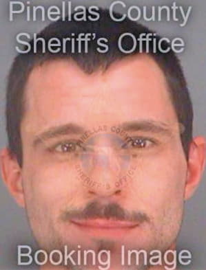 Williams Michael - Pinellas County, FL 
