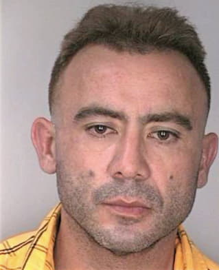 Veliz Eulice - Hillsborough County, FL 