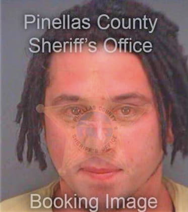 Taurisano Kenneth - Pinellas County, FL 