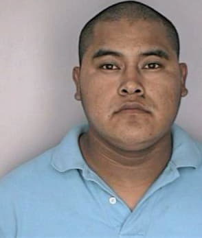 Hernandezrocha Luis - Hillsborough County, FL 