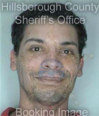 Cintronreyes Alexander - Hillsborough County, FL 