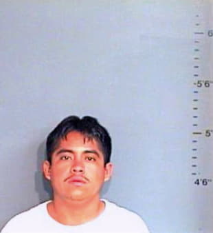 Torres Alvaro - Brazos County, TX 