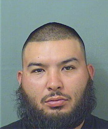 Borrego Camilo - PalmBeach County, FL 