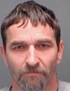 Williamson David - Pinellas County, FL 