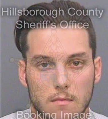 Dillow Ryan - Hillsborough County, FL 
