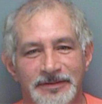 Moura Anthony - Pinellas County, FL 