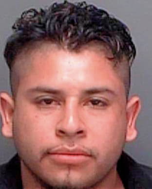 Morales Cruz - Pinellas County, FL 