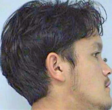 Bravo Miguel - Desoto County, MS 