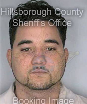 Mendoza Luis - Hillsborough County, FL 