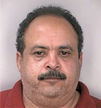 Ruiz Manuel - Hillsborough County, FL 