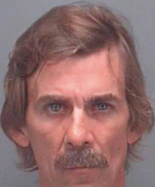 Denz Michael - Pinellas County, FL 