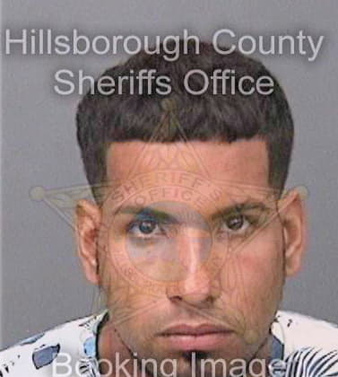 Hernandez-Cosme Osvaldo - Hillsborough County, FL 