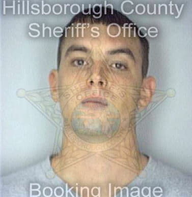 Baldwin David - Hillsborough County, FL 