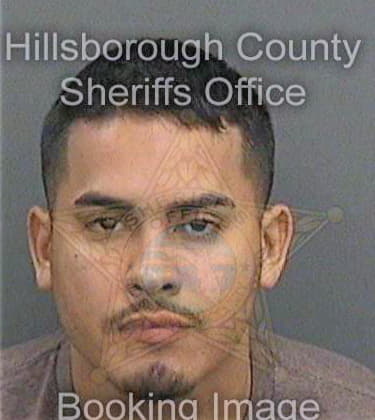 Perez Jesus - Hillsborough County, FL 