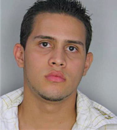 Rivera Amilcar - Hillsborough County, FL 