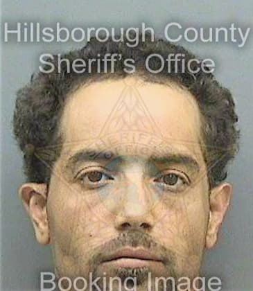 Oquendo Luis - Hillsborough County, FL 