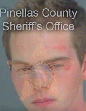 Brannon Matthew - Pinellas County, FL 