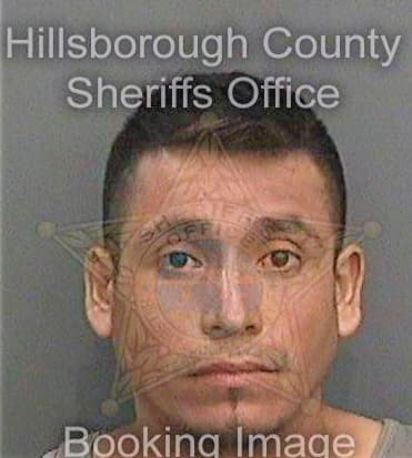 Martinezramos Efrain - Hillsborough County, FL 