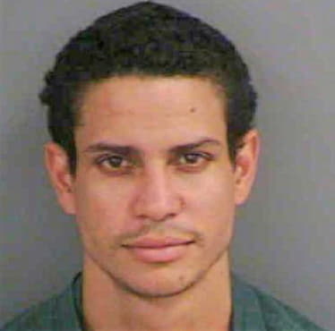 Sanchez David - Collier County, FL 