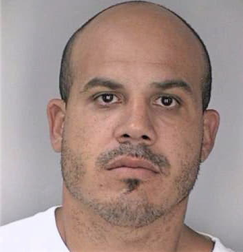 Tirado Reynaldo - Hillsborough County, FL 